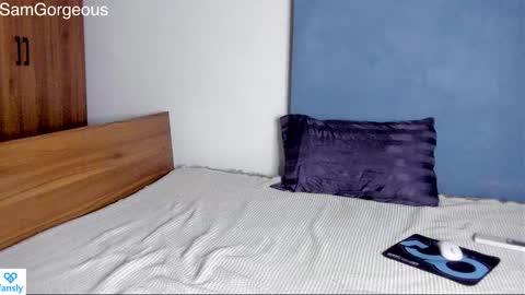 Snapshot of samgorgeous chatting on 12/03/24, 10:50 Fansly - Top4fans online show from 12/03/24, 10:50