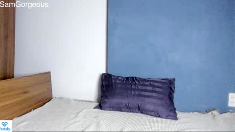 Snapshot of samgorgeous chatting on 12/03/24, 08:17 Fansly - Top4fans online show from 12/03/24, 08:17