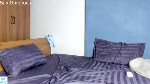 Snapshot of samgorgeous chatting on 12/06/24, 11:33 Fansly - Top4fans online show from 12/06/24, 11:33