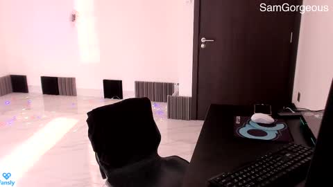 Snapshot of samgorgeous chatting on 03/04/25, 08:46 Fansly - Top4fans online show from 03/04/25, 08:46