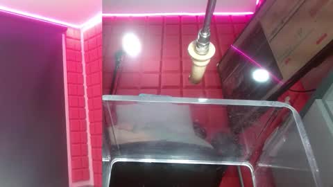 SAMMY online show from 02/16/26, 10:33