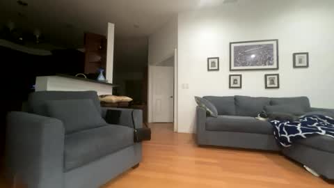 Snapshot of santanacd chatting on 02/21/26, 06:03 Santana online show from 02/21/26, 06:03