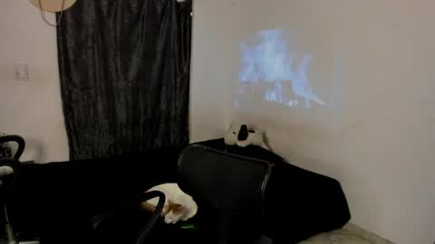 Snapshot of santiceballo chatting on 05/19/26, 10:43 Julius Novachrono online show from 05/19/26, 10:43