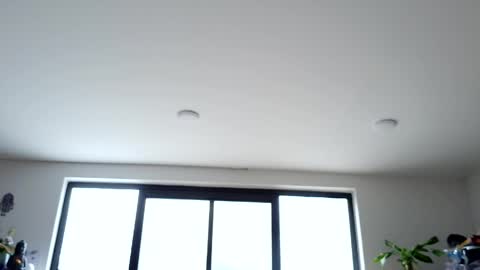 safir online show from 05/14/26, 07:42