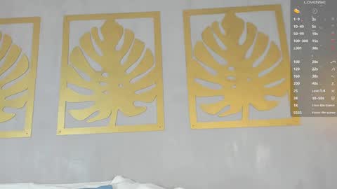 Sara online show from 01/22/25, 01:21