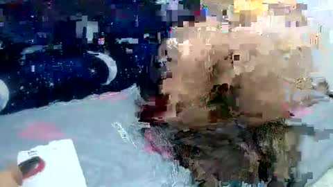 Sara love online show from 02/02/25, 03:54