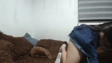 Snapshot of saraandthomas chatting on 01/12/25, 02:24 sara and thomas online show from 01/12/25, 02:24
