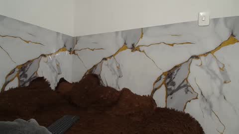 sara and thomas online show from 11/26/25, 12:00