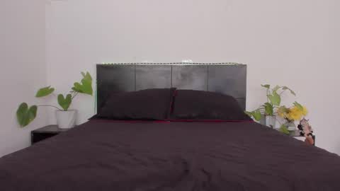 Girl next door online show from 01/13/25, 08:37