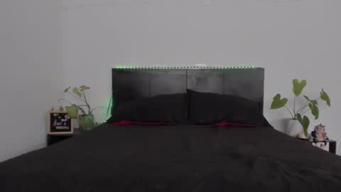 Girl next door online show from 01/31/25, 08:12