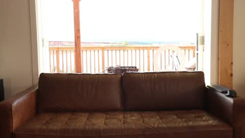 Back from Vacay  Follow for more here  online show from 10/31/25, 12:22