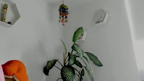 Snapshot of saray2312 chatting on 02/02/26, 09:24 Saray online show from 02/02/26, 09:24