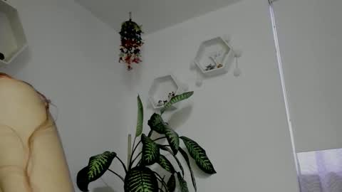 Snapshot of saray2312 chatting on 02/05/26, 11:20 Saray online show from 02/05/26, 11:20