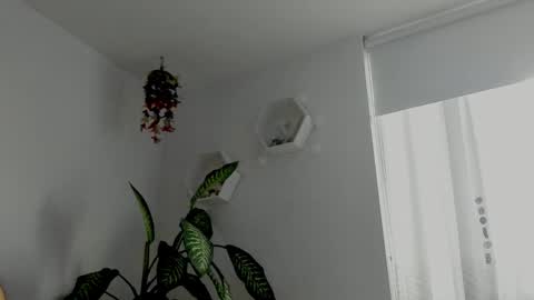 Snapshot of saray2312 chatting on 02/06/26, 10:46 Saray online show from 02/06/26, 10:46