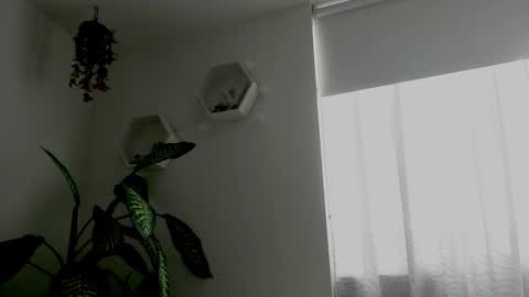 Snapshot of saray2312 chatting on 02/09/26, 09:41 Saray online show from 02/09/26, 09:41