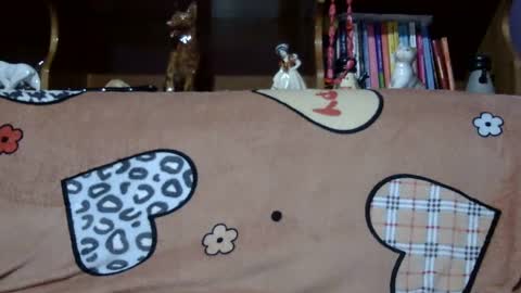 Snapshot of sarraella chatting on 01/21/25, 02:37 Sarra online show from 01/21/25, 02:37