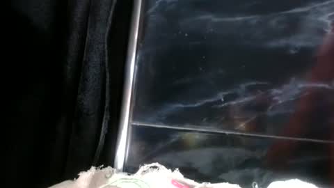sasha online show from 06/16/26, 11:24
