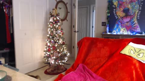 Trish online show from 01/01/25, 07:41