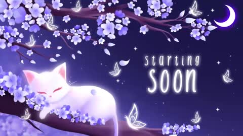 Snapshot of sassykittyn chatting on 03/11/25, 05:05 Sassy Sami Kittyn online show from 03/11/25, 05:05