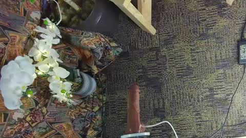 Snapshot of sassylatin45 chatting on 03/02/25, 01:47 sassylatin45 online show from 03/02/25, 01:47