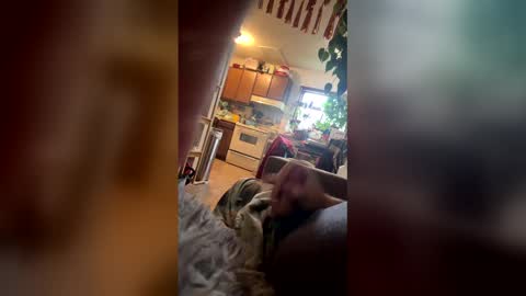 satchster online show from 04/14/26, 02:12