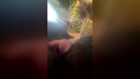 satchster online show from 04/26/26, 10:18