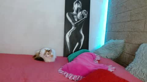 Snapshot of sativa_29 chatting on 12/13/24, 04:05 Sativa online show from 12/13/24, 04:05