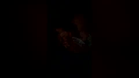 saywhatt3 online show from 02/24/26, 05:27