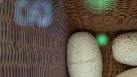scarlajade online show from 05/15/26, 02:51