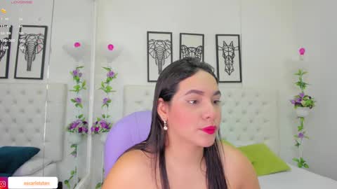 Snapshot of scarlet_stan22 chatting on 12/14/24, 11:07 Isa online show from 12/14/24, 11:07