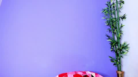 Denis online show from 01/03/25, 02:08