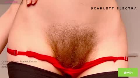 SCARLETT ELECTRA  -  online show from 12/27/24, 07:14