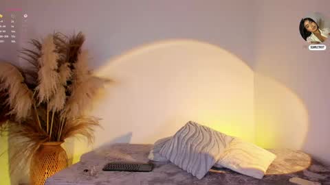 Snapshot of scarlett_keitt chatting on 06/03/26, 02:33 scarlet online show from 06/03/26, 02:33
