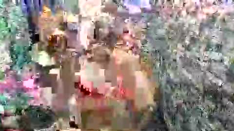 SCAS ANGEL S online show from 04/27/26, 02:42