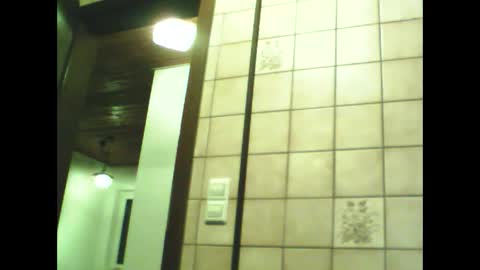 schnibschnab online show from 11/30/25, 08:46