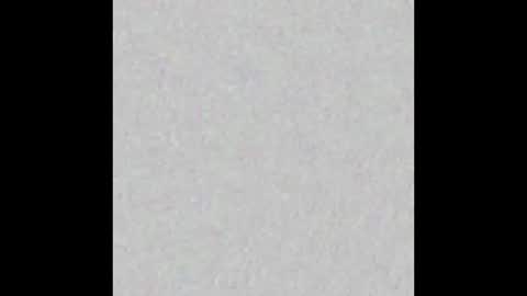 Scolw  online show from 12/17/25, 12:00