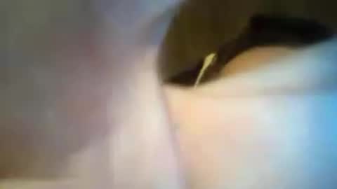 scooterlynn911 online show from 06/21/26, 02:41