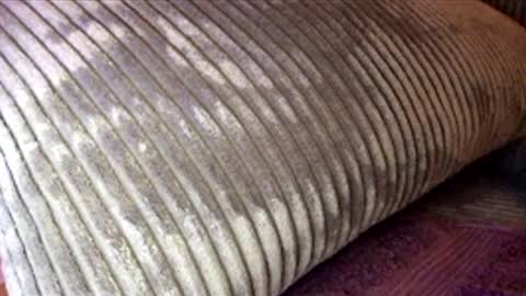 Snapshot of scotty2hotty46_ chatting on 02/21/26, 05:41 scotty2hotty46_ online show from 02/21/26, 05:41