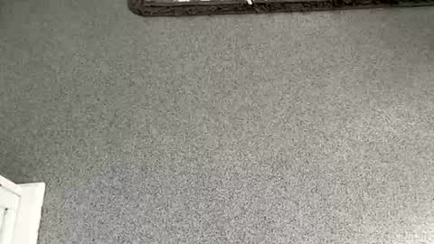 scottyc48 online show from 11/08/25, 10:04