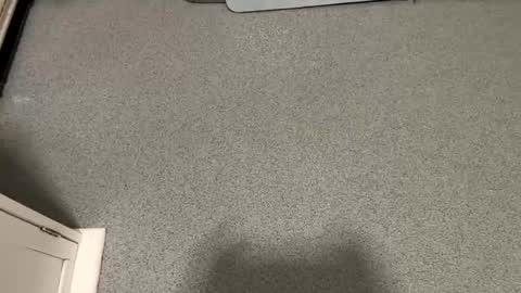 scottyc48 online show from 11/23/25, 07:41