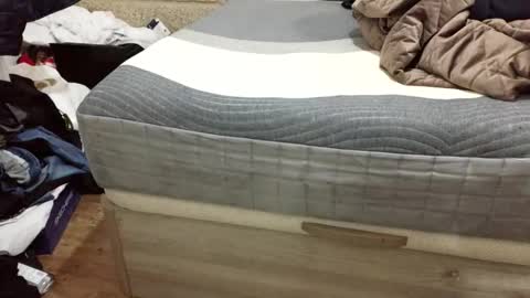 Snapshot of scubi007 chatting on 11/02/25, 10:12 scubi007 online show from 11/02/25, 10:12