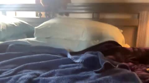 Skylar87 online show from 12/15/24, 06:26