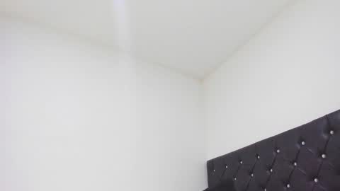 Snapshot of sebastian_dash chatting on 02/26/25, 01:21 SEBAS online show from 02/26/25, 01:21