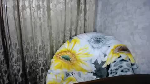 secretcandy222 online show from 03/01/25, 02:44