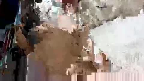 Snapshot of secreto_chat_ chatting on 10/03/25, 11:24 secreto_chat_ online show from 10/03/25, 11:24