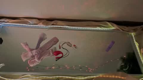 Mali online show from 01/15/26, 09:58