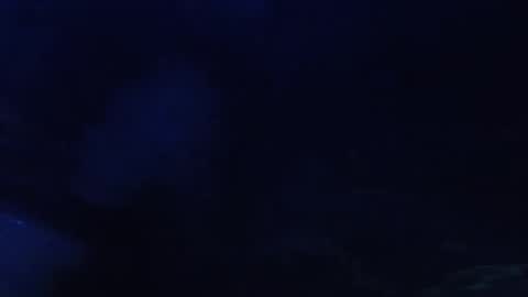 Seeker online show from 05/11/26, 05:57