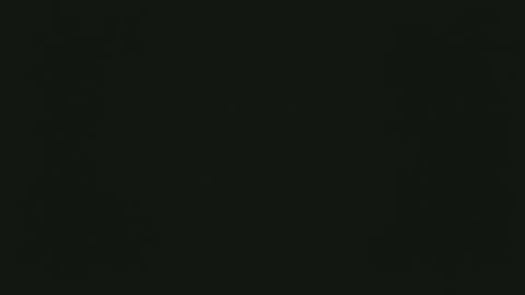 selfpound online show from 12/15/25, 04:33