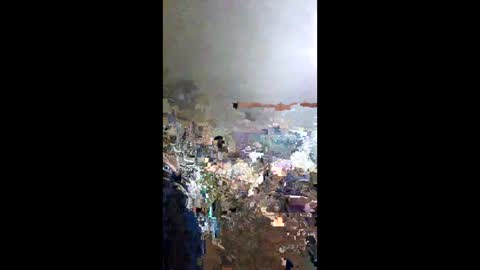 senor49509 online show from 01/25/25, 03:51