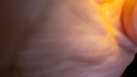 senor49509 online show from 11/27/25, 02:02